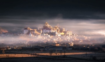 1000079174