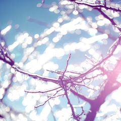 frozen tree亮晶晶～