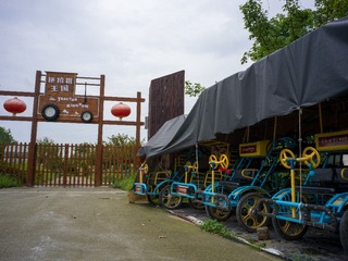 B0003686_20240710
