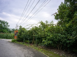 B0003728_20240710
