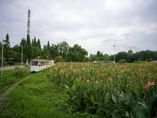 B0003634_20240710