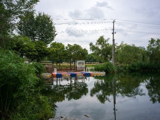 B0003741_20240710