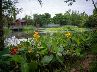 B0003792_20240710
