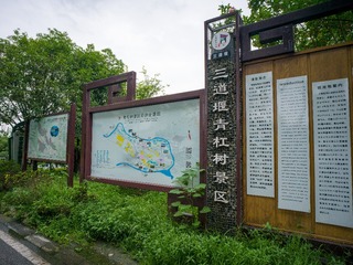 B0003847_20240710