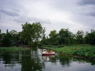 B0003751_20240710