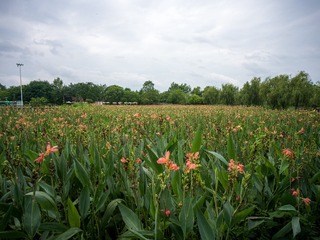 B0003633_20240710