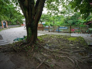 B0003832_20240710