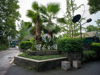 B0003608_20240710