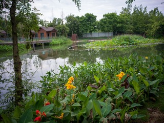 B0003793_20240710
