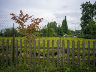 B0003738_20240710