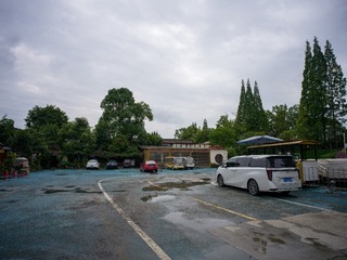 B0003844_20240710
