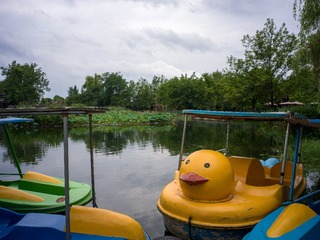 B0003673_20240710