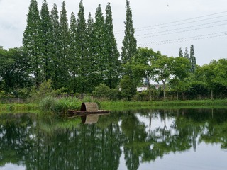 B0003660_20240710