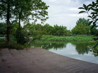 B0003765_20240710
