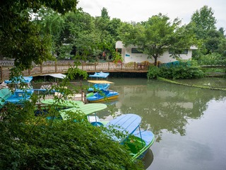 B0003816_20240710