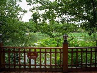 B0003770_20240710