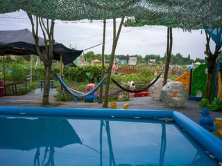 B0003703_20240710