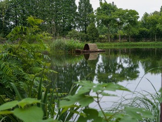 B0003662_20240710