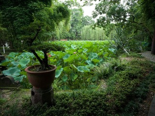 B0004302
