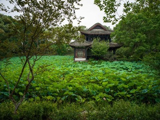B0004495
