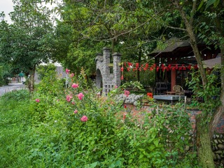 B0003723_20240710