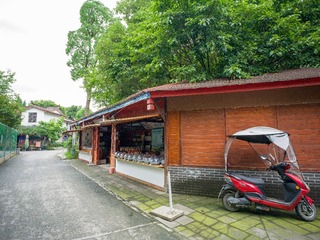 B0003835_20240710