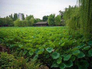 B0004454