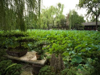 B0004453
