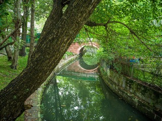 B0003815_20240710