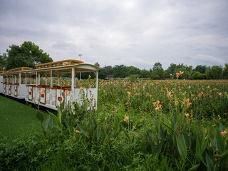 B0003631_20240710