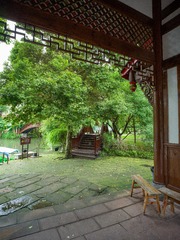 B0003825_20240710