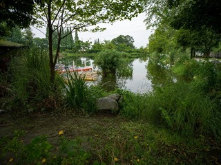 B0003637_20240710