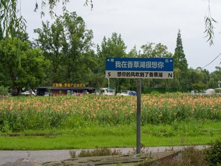 B0003666_20240710