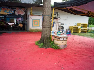 B0003705_20240710