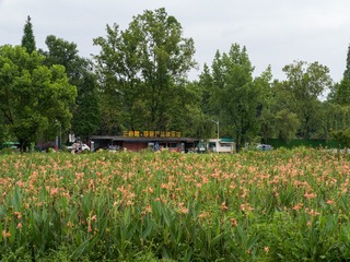 B0003654_20240710