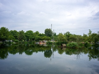 B0003691_20240710