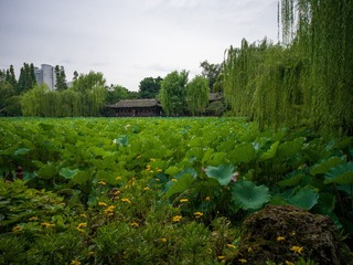 B0004455