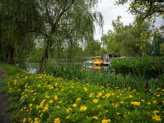 B0003649_20240710