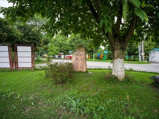 B0003635_20240710
