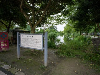 B0003636_20240710