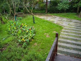 B0003811_20240710