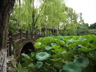 B0004491