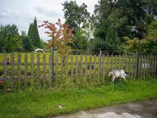 B0003693_20240710