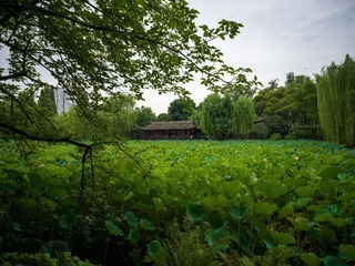 B0004486