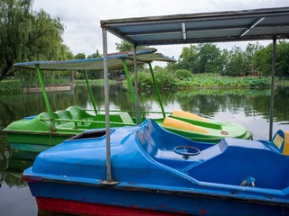 B0003675_20240710