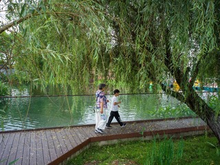 B0003745_20240710