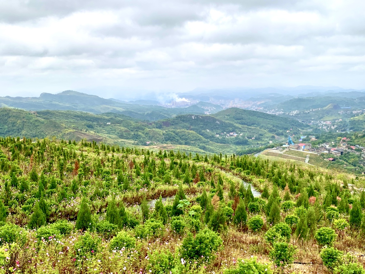 今日锡矿山11绿妆