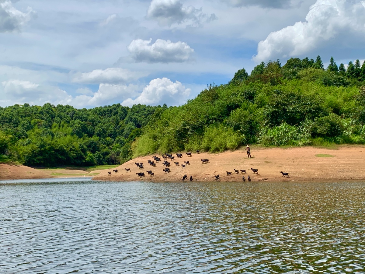 乡村印象06三八水库