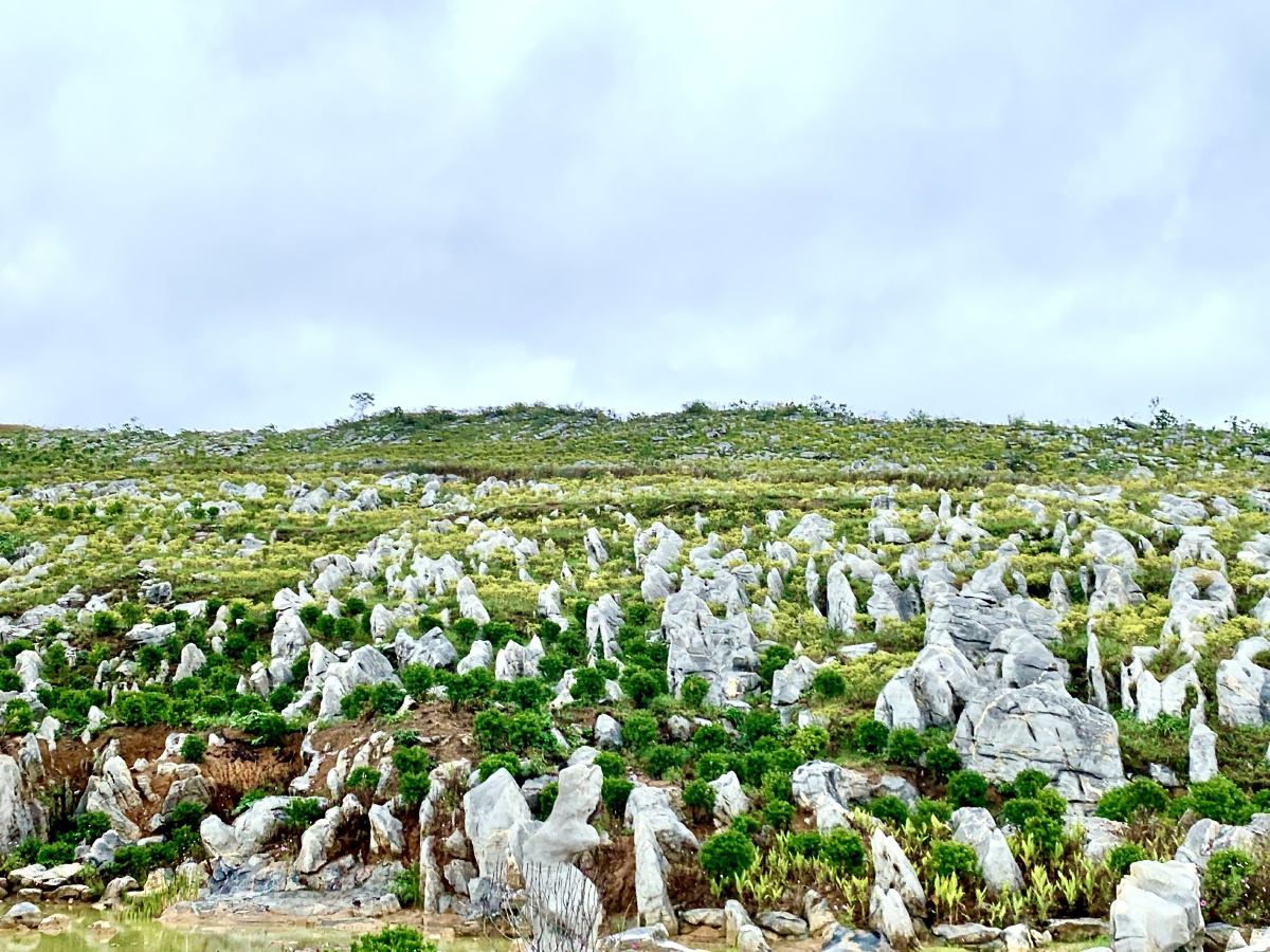 今日锡矿山10万马奔腾