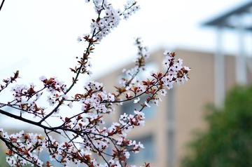 DSC_7893副本.jpg